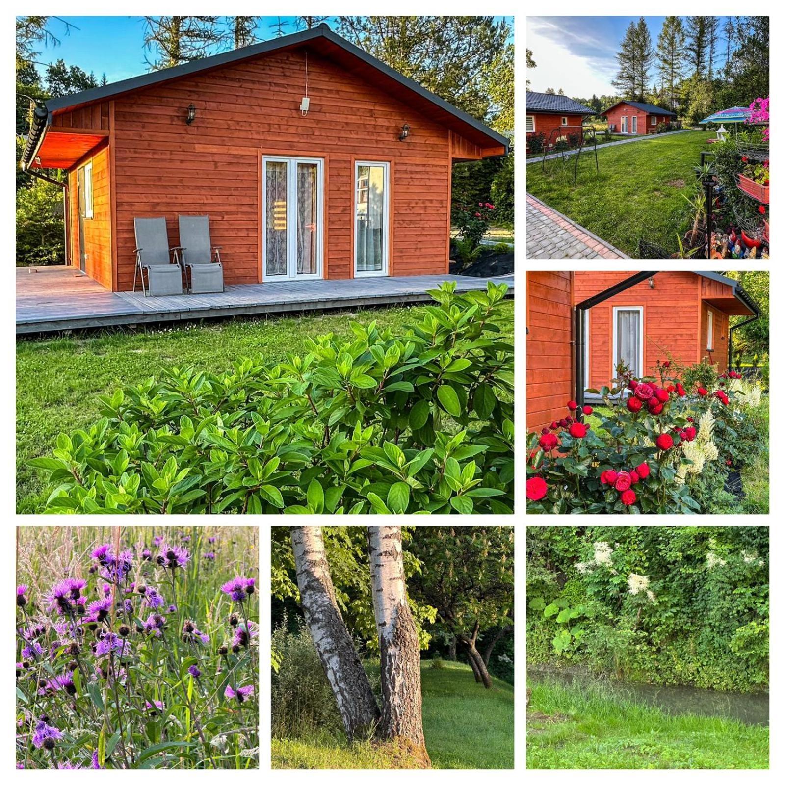 Gaj Przy Solinie Holiday home *