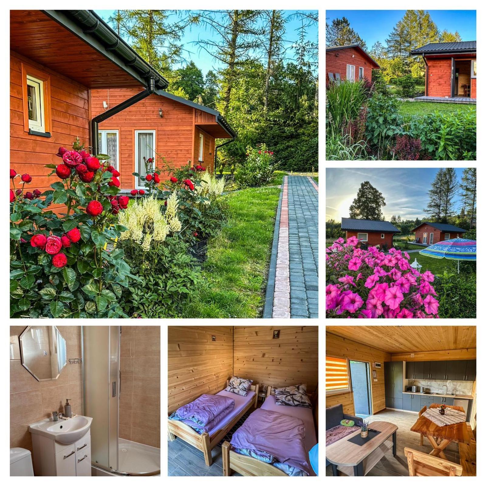 Gaj Przy Solinie * Solina (Podkarpackie)